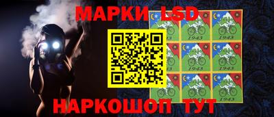 индика Дубна