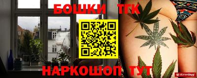 индика Дубна