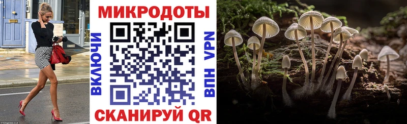 Псилоцибиновые грибы Psilocybine cubensis даркнет сайт Октябрьский