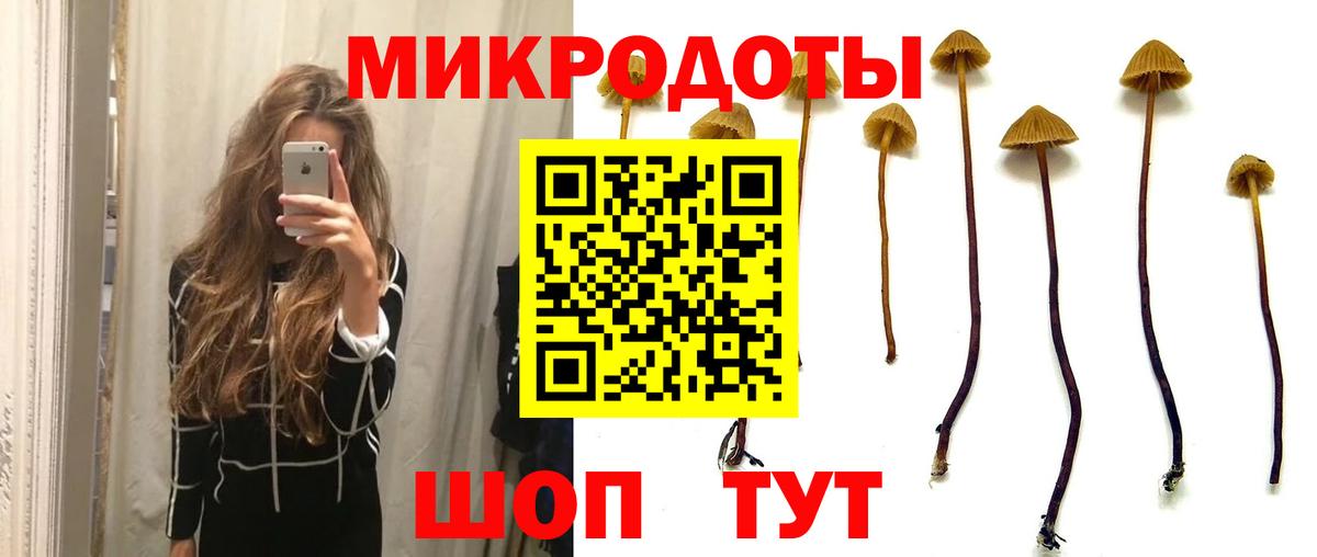 Октябрьский  Галлюциногенные грибы Psilocybine cubensis  Псилоцибиновые грибы мицелий  Вход с VPN 