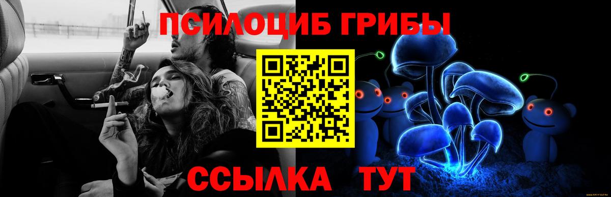 Галлюциногенные грибы мухоморы Октябрьский